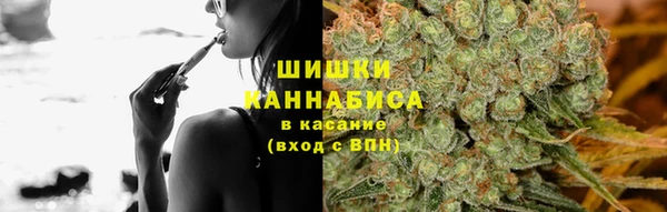 круглые Белокуриха