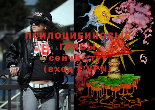 круглые Белокуриха