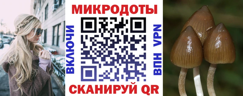 купить   Тюмень  Галлюциногенные грибы мицелий 